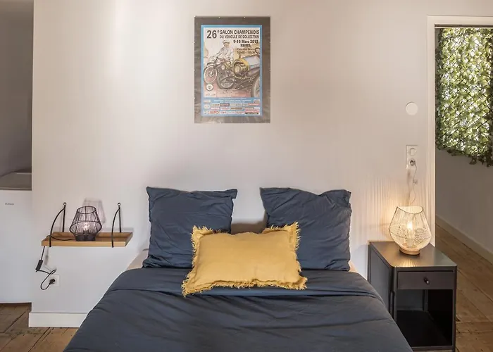 Chez Suzanne 4 - Privee Dans Maison De - Confort - Hypercentre Troyes